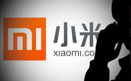 小米有品關聯公司經營范圍擴展，新增新能源汽車換電設施與票務代理服務